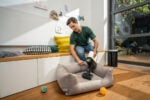 VC 6 Cordless ourFamily Pet - Image 8
