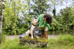 OC 4 + Pet Kit - Image 9